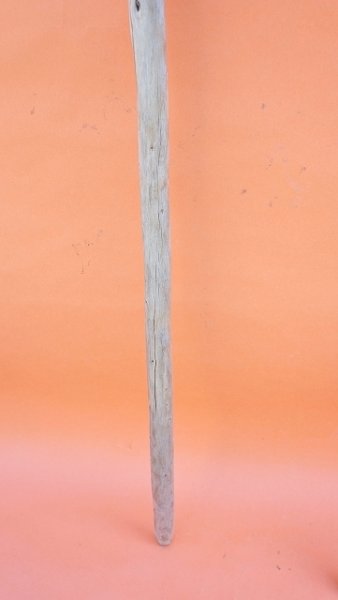 画像2: 棒流木セット (2)