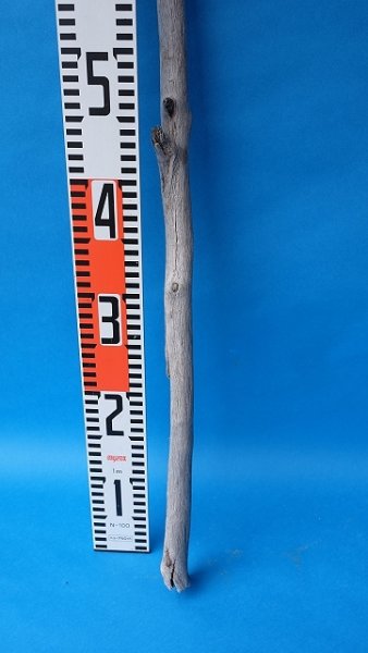 画像6: 枝流木 (6)