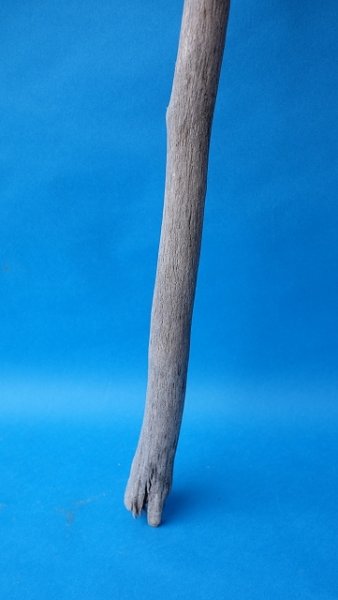 画像2: 枝流木 (2)