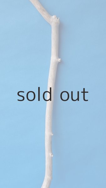 画像3: 枝流木 (3)