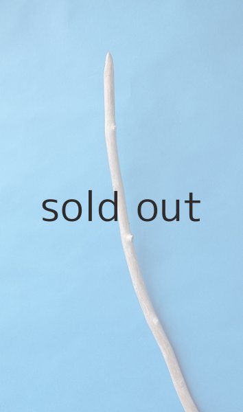 画像5: 枝流木 (5)