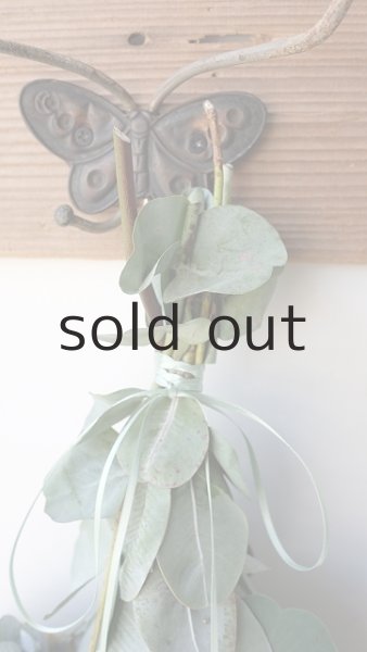 画像2: Dry plants for decor ユーカリ4種シンプルスワッグ (2)