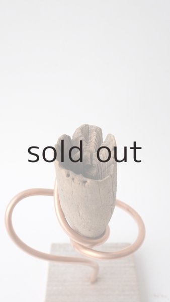 画像3: エアープランツ置き by GRAY and GREEN (3)