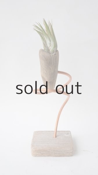 画像2: エアープランツ置き by GRAY and GREEN (2)