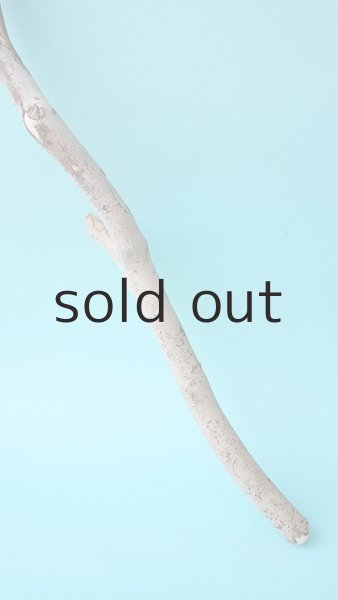 画像2: 枝流木 (2)