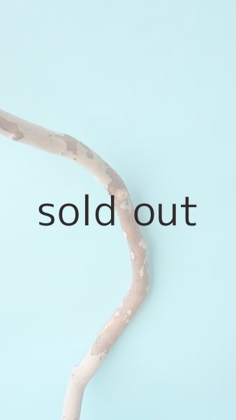 画像8: 枝流木 (8)