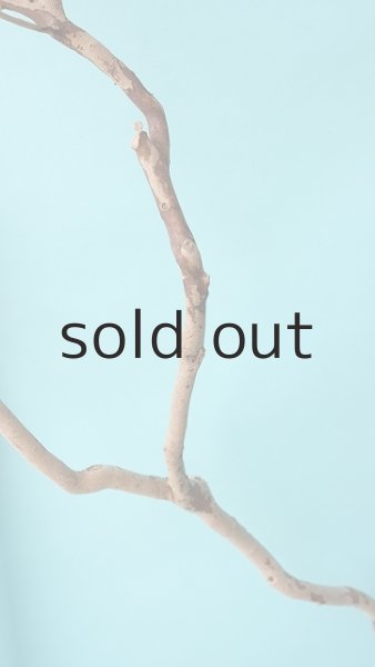 画像9: 枝流木 (9)