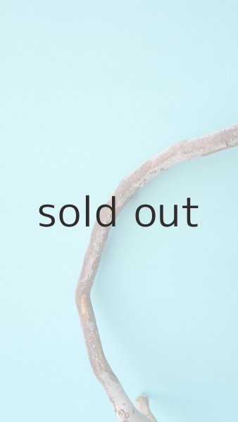 画像3: 枝流木 (3)