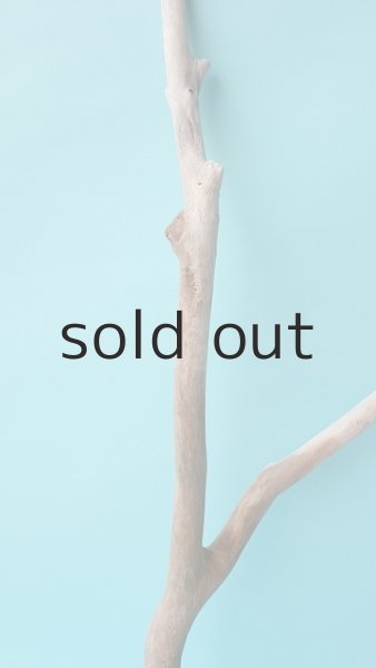 画像3: 枝流木 (3)