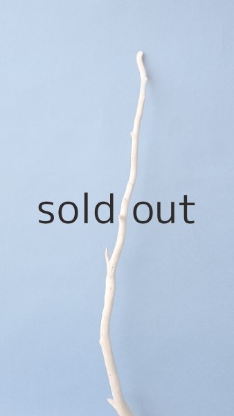 画像3: 小枝流木セット (3)