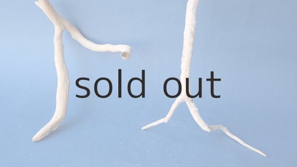 画像2: 小枝流木セット (2)