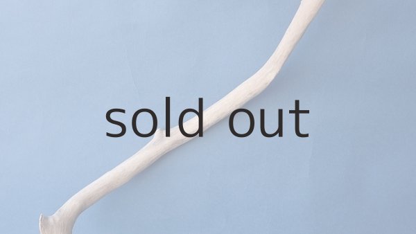 画像3: 小枝流木 (3)