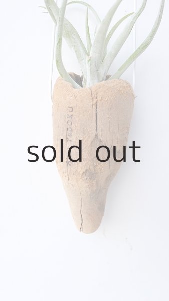 画像2: エアープランツ置き（ハンギングタイプ） by GRAY and GREEN (2)