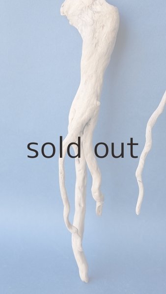 画像2: 流木根セット (2)