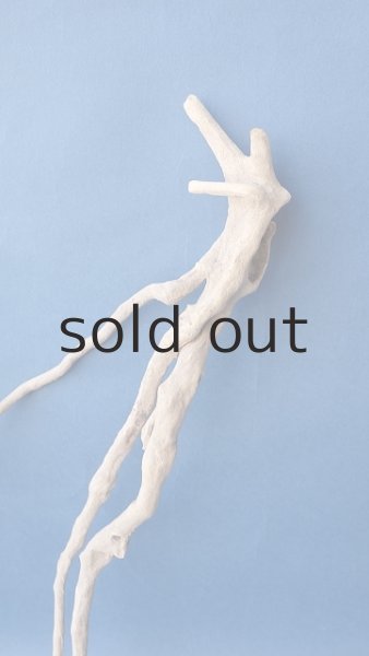 画像4: 流木根セット (4)