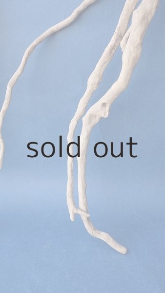 画像3: 流木根セット (3)