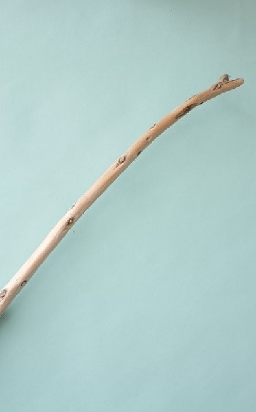 画像5: 棒流木 (5)