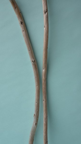 画像3: 棒流木セット (3)