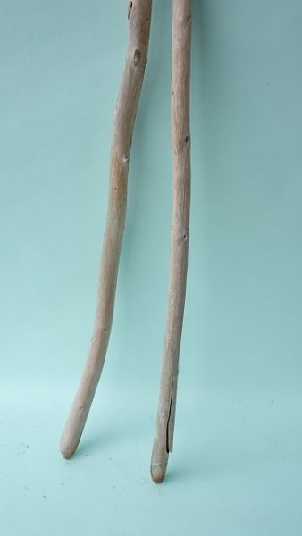 画像2: 棒流木セット (2)