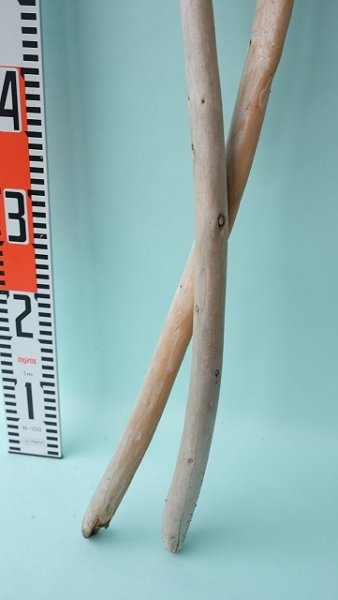 画像5: 棒流木セット (5)