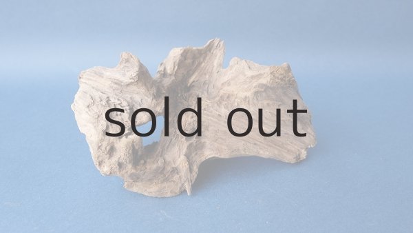 画像2: 変形流木 (2)