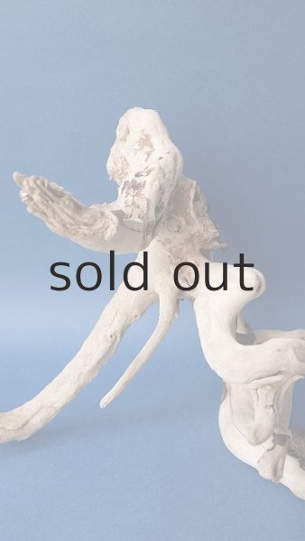 画像2: 流木根 (2)