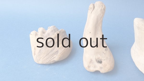 画像3: 変形流木セット (3)