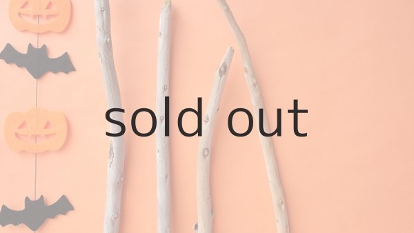 画像4: 棒流木セット（カット流木） (4)