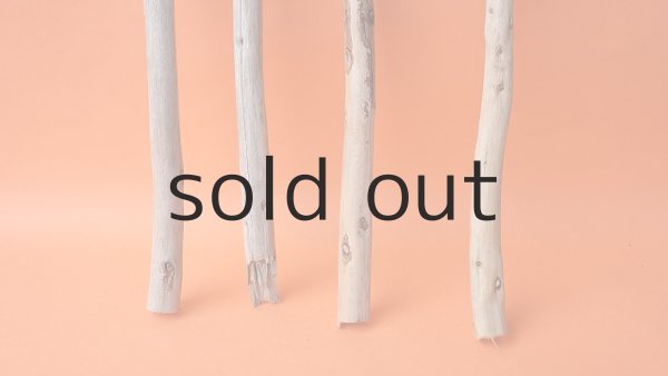 画像2: 棒流木セット（カット流木） (2)