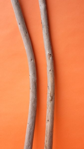 画像3: 棒流木セット（カット流木） (3)