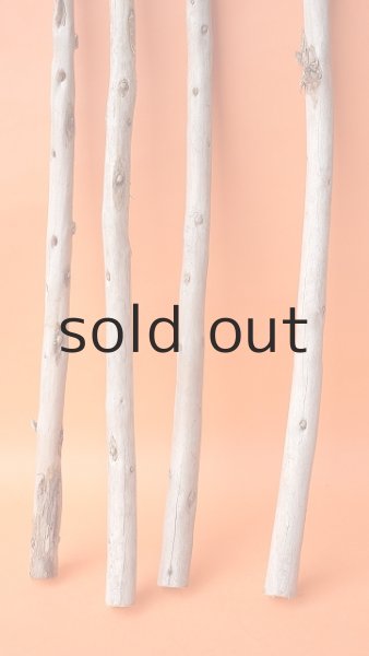 画像2: 棒流木セット（カット流木） (2)