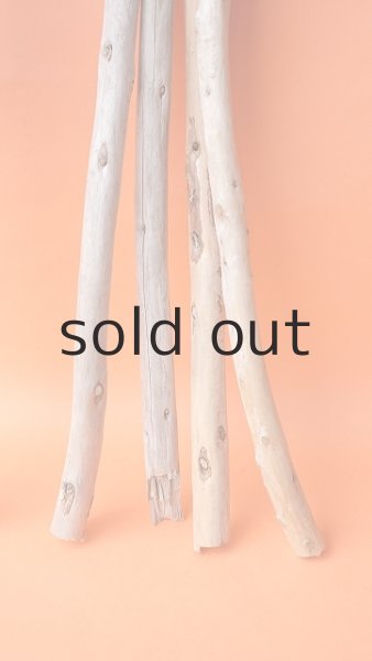 画像5: 棒流木セット（カット流木） (5)