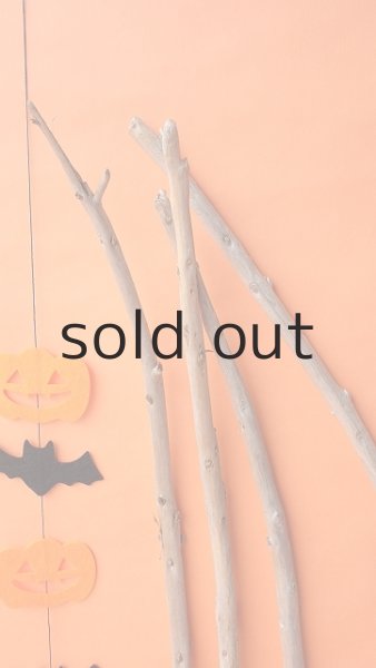 画像4: 棒流木セット（カット流木） (4)