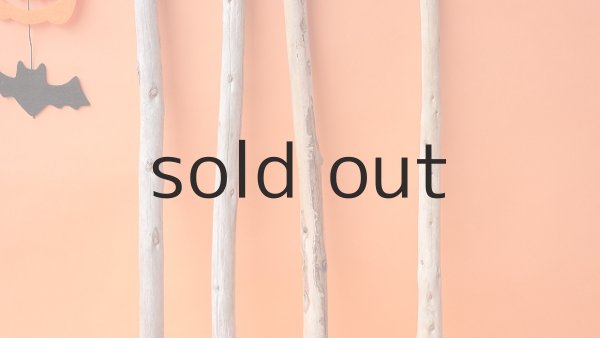 画像3: 棒流木セット（カット流木） (3)