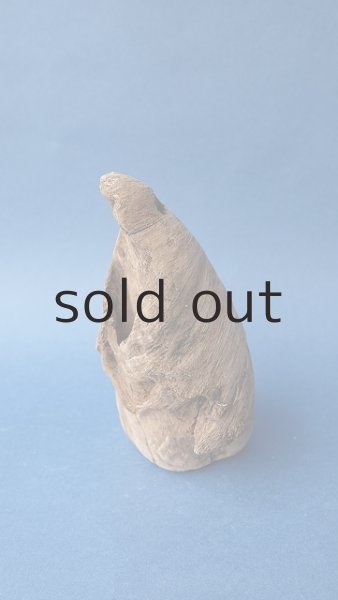 画像2: 変形流木 (2)