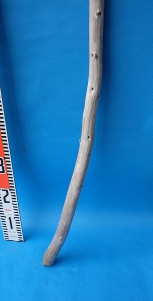 画像5: 棒流木・長尺 (5)