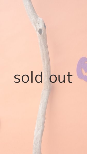 画像3: 枝流木 (3)