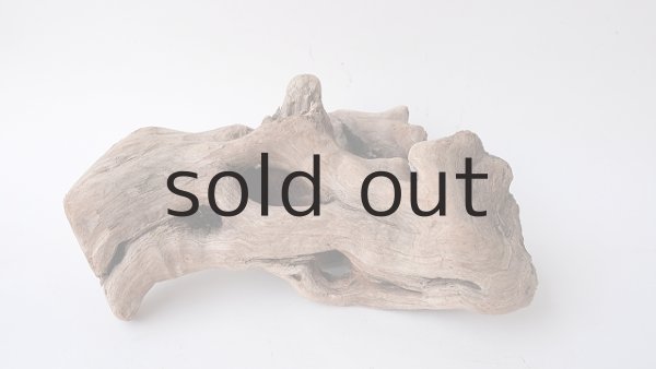 画像2: 変形流木 (2)