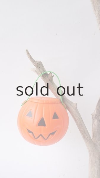 画像4: 小枝流木 (4)