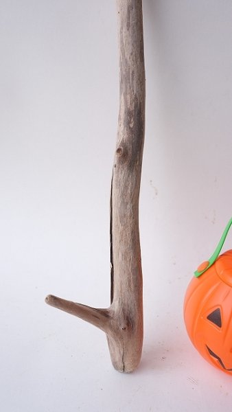 画像3: 小枝流木 (3)