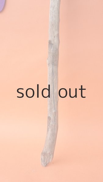 画像2: 枝流木 (2)