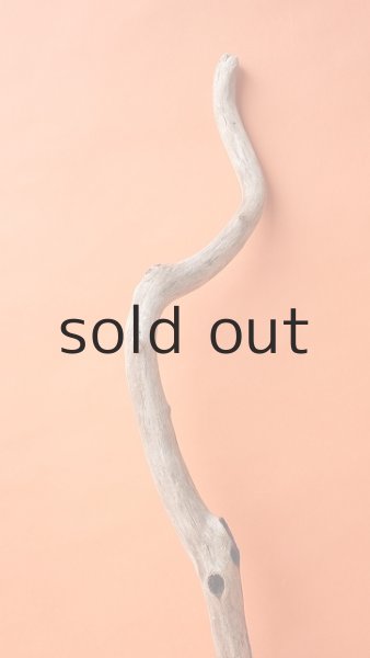 画像4: 枝流木 (4)