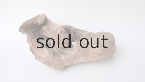 画像3: 変形流木 (3)