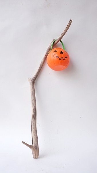 画像2: 小枝流木 (2)