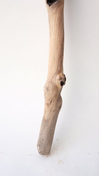 画像2: 小枝流木 (2)