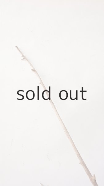 画像7: 流木根（中型） (7)