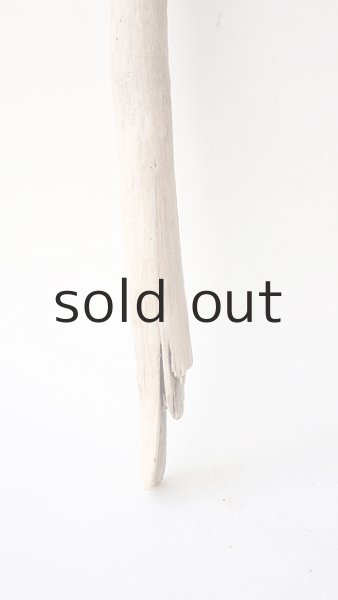 画像2: 小枝流木 (2)