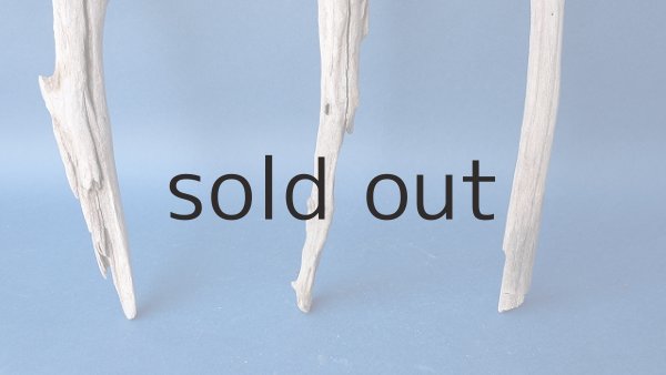 画像2: 小枝流木セット (2)