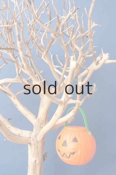 画像3: 枝流木 (3)