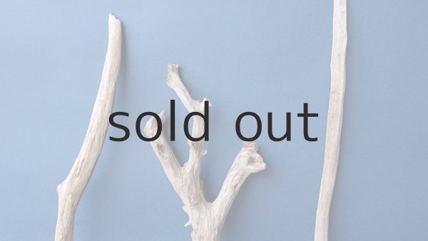 画像4: 小枝流木セット (4)